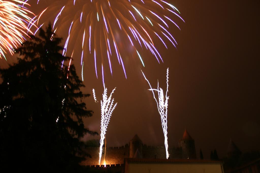 Cite Park Apartment Carcassonne Bagian luar foto